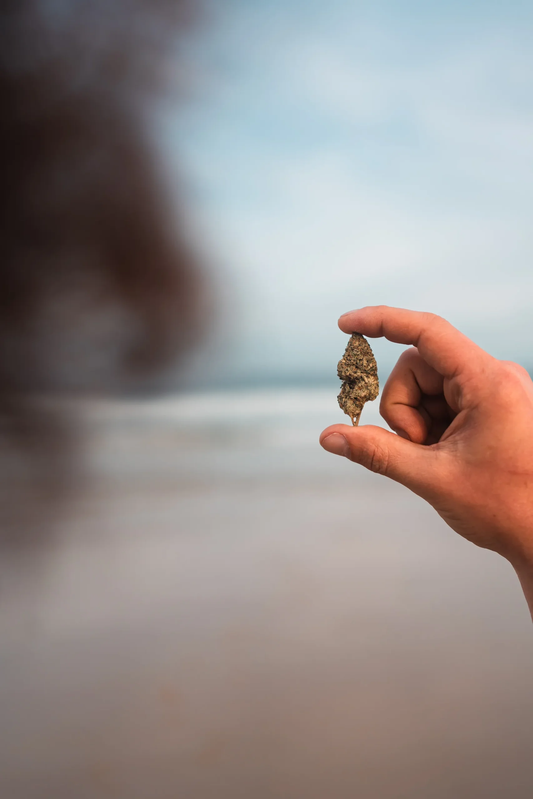 it is a product image of our cannabis with our setting of a beach front cannabis shop
